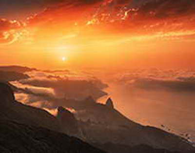 Telegram bloklansa migrantlar qanday qilib aloqada qolishlari mumkin?