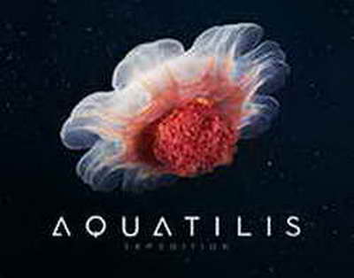 Starlink Satellite Internet in Iran: Lessons for Kyrgyzstan